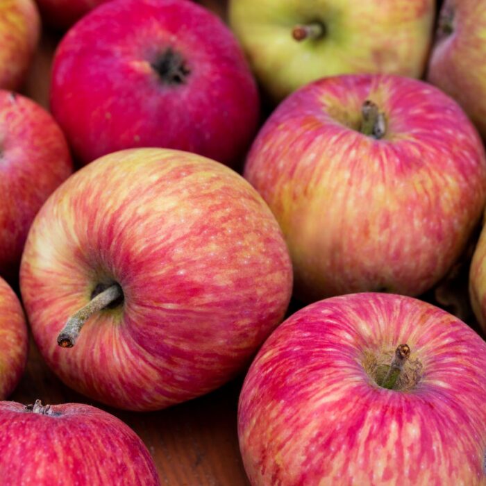 Apples on the counter