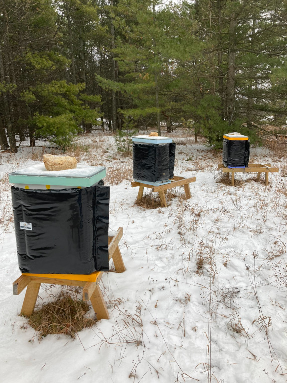 Bee hives in the winter