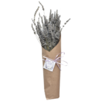 Tall lavender bundle