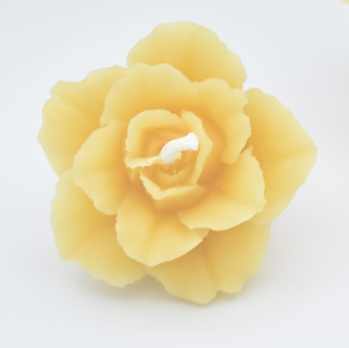 Rose beeswax candle, small