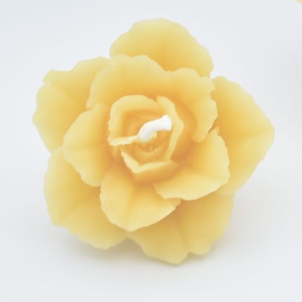 Rose beeswax candle, small