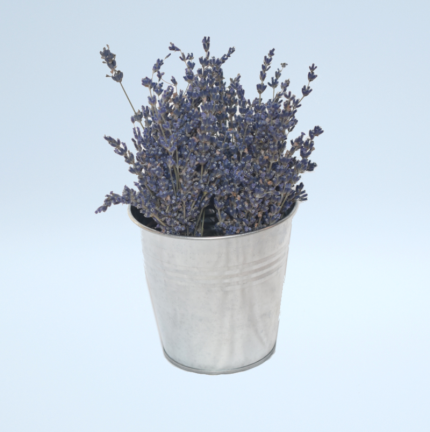 Lavender pail